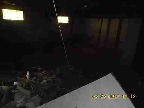 16737 Dolphin (32)_m.jpg